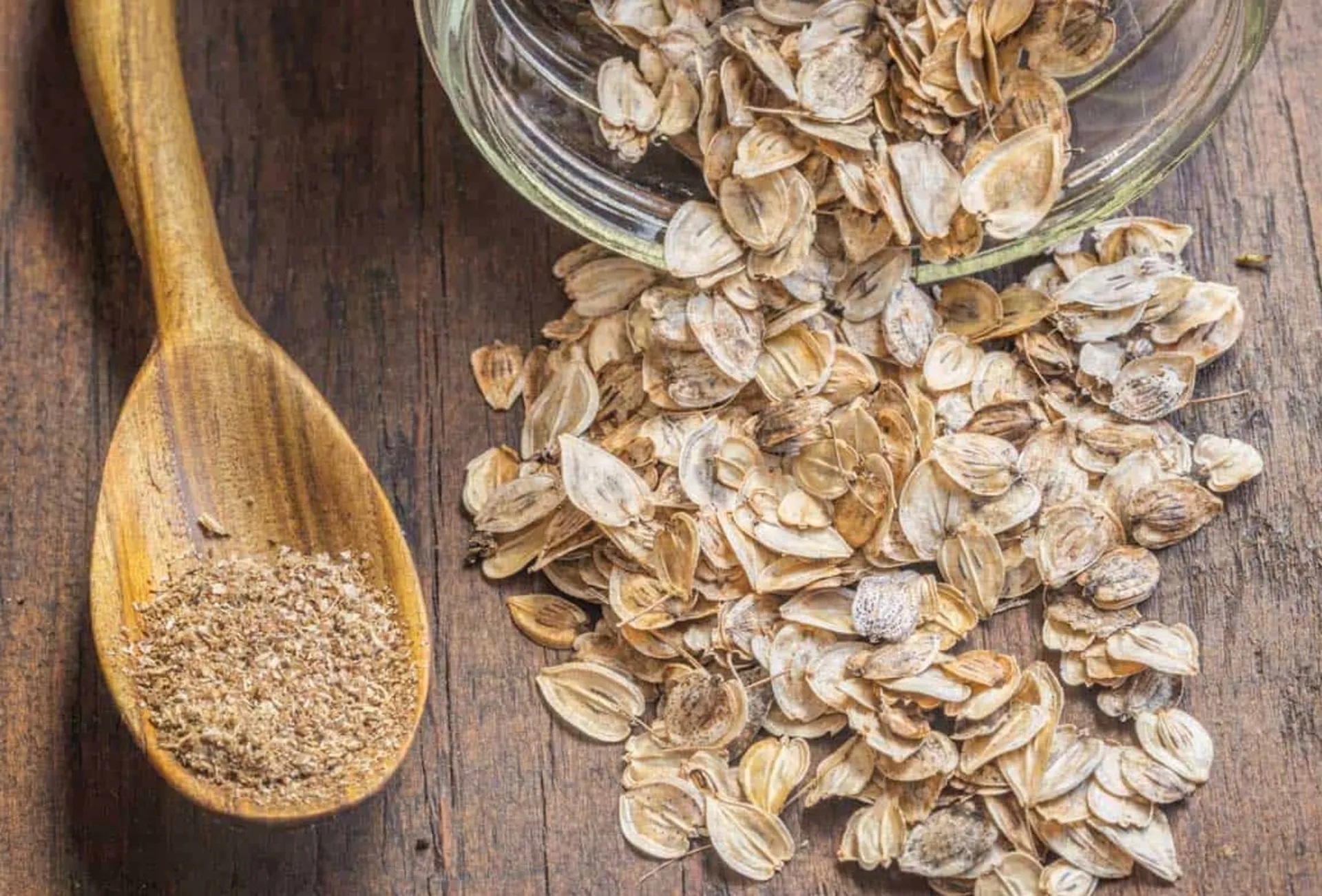پروتئین و فیبر گلپر