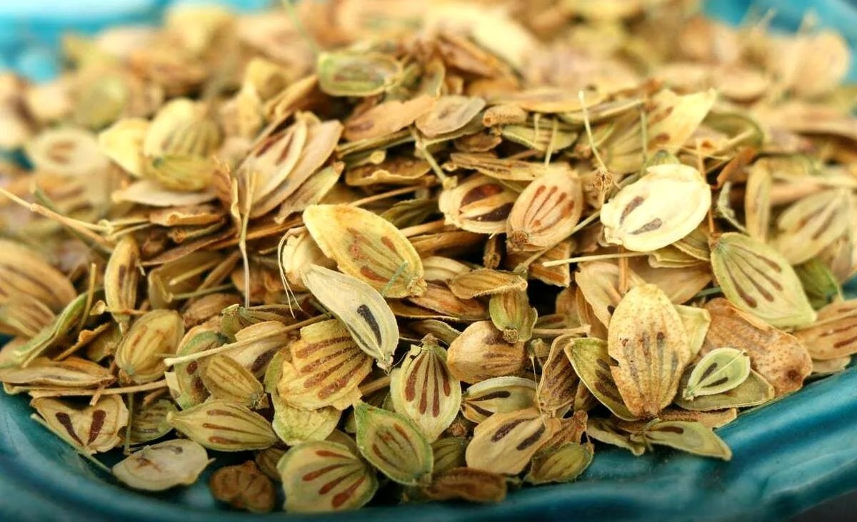 گلپر و کاهش فشار خون و کلسترول